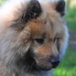 Правовое регулирование программ лояльности казино без депозита